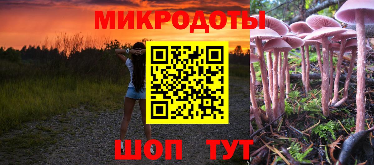 Галлюциногенные грибы Cubensis Гай